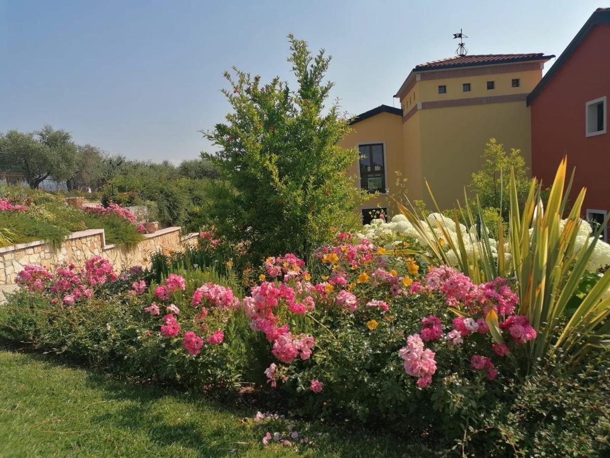 Agriturismo La Rondinella Lazise Exteriér fotografie